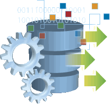 Professional Services